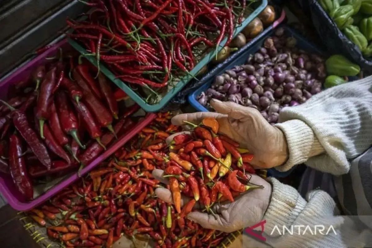 BPS states bird's eye chilli prices exceed price guidance in various regions