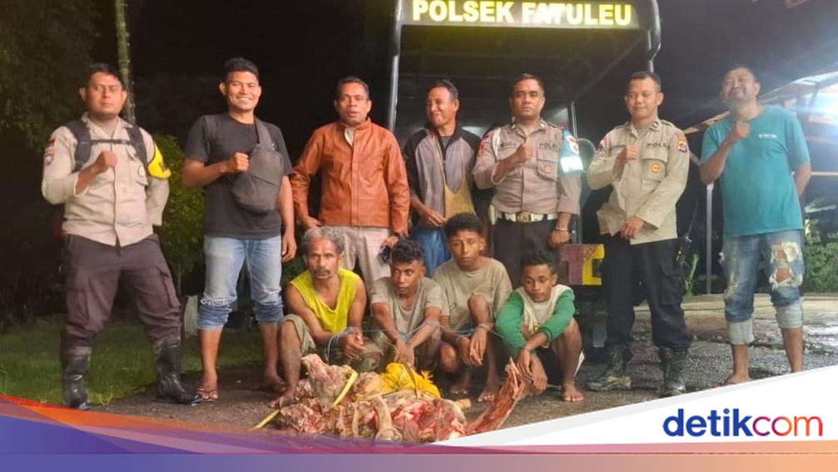 Four Cattle Thieves Arrested in Kupang, Severely Beaten by Mob