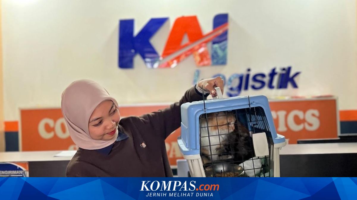 Eid 2026 Homecoming: KALOG Express Pet Shipping Reaches 10,874 Animals