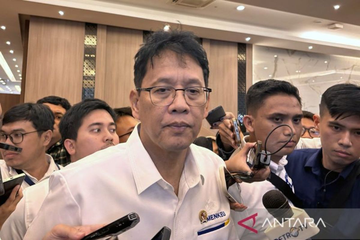 Finance Minister Pursues 10 Companies Engaged in Underinvoicing to Boost State Revenue