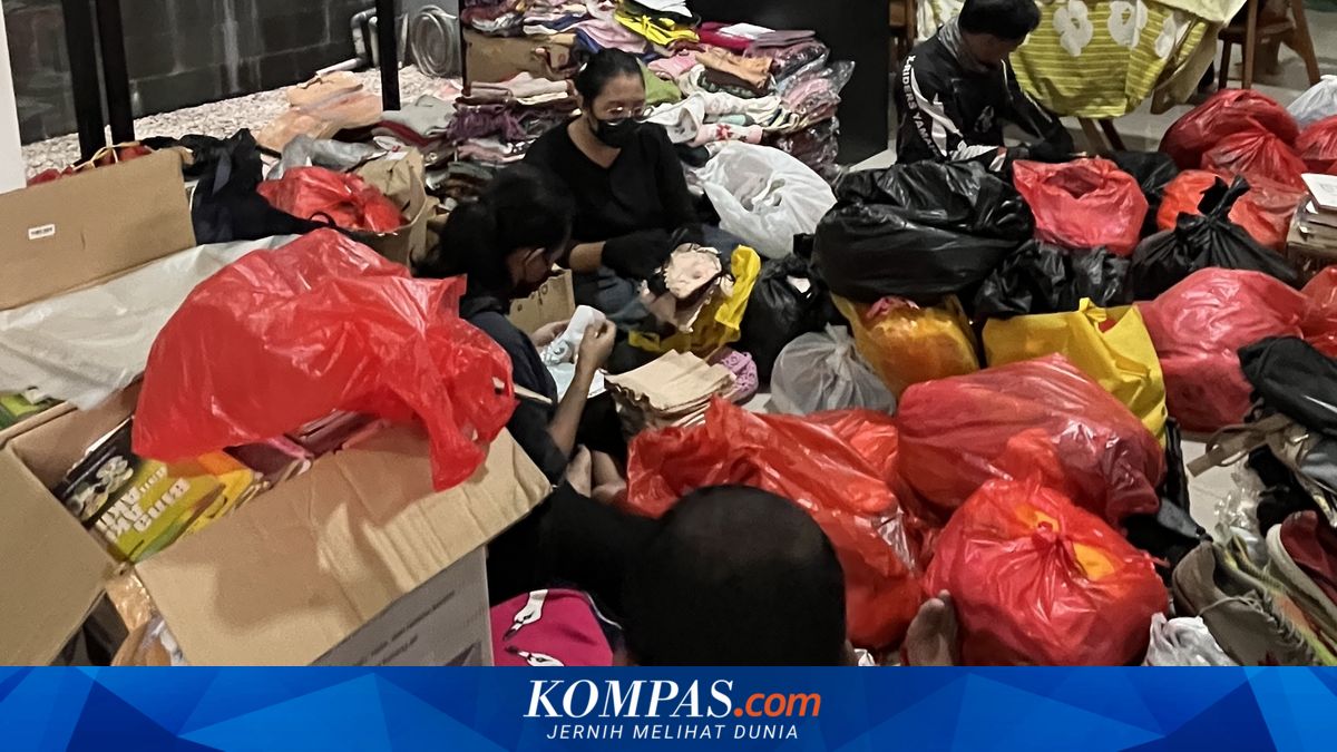 Dika's Story of Building an Anti-Hoarding Service: From Angry Clients to Homes Full of Mice