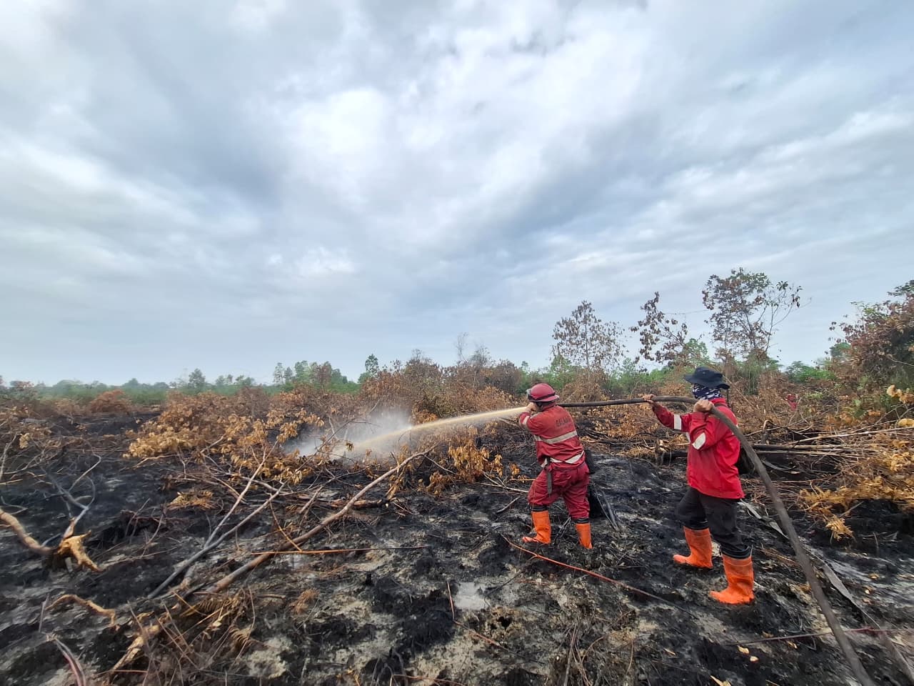 Securing Sumatra Migration Route from Forest and Land Fires, Forestry Ministry Deploys Manggala Agni