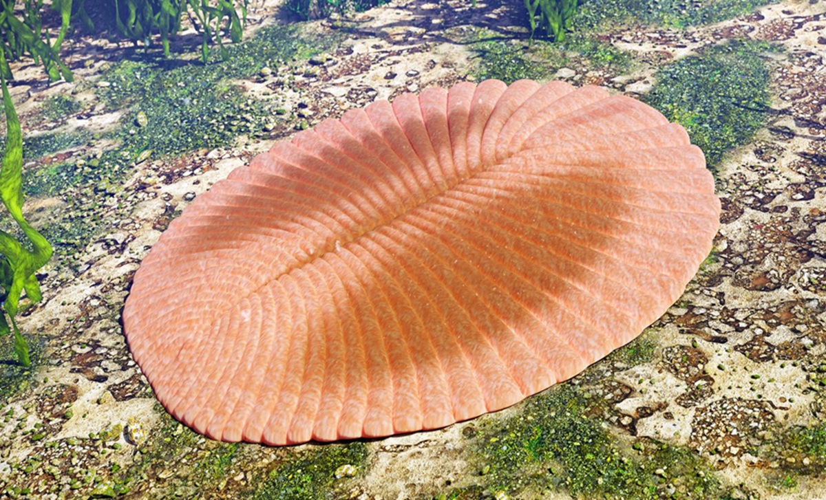 New Fossil Reveals First Mass Extinction of Animals 550 Million Years Ago