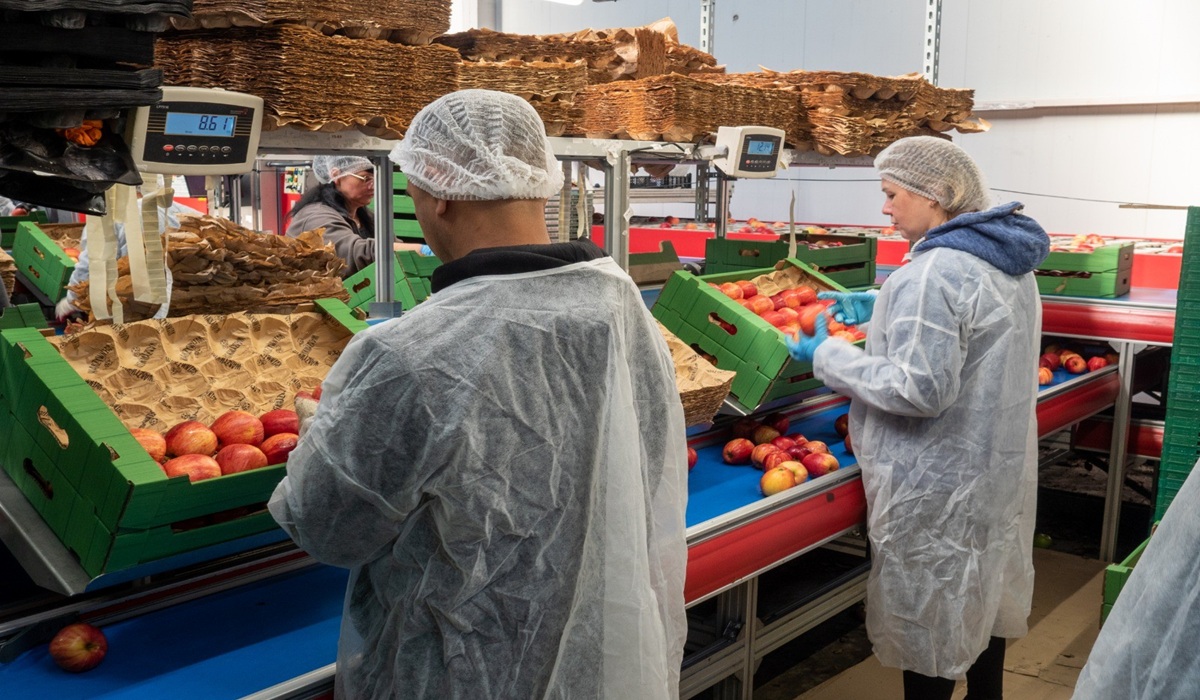 Garden of Europe Campaign Brings European Union Quality Standards to Indonesian Family Tables