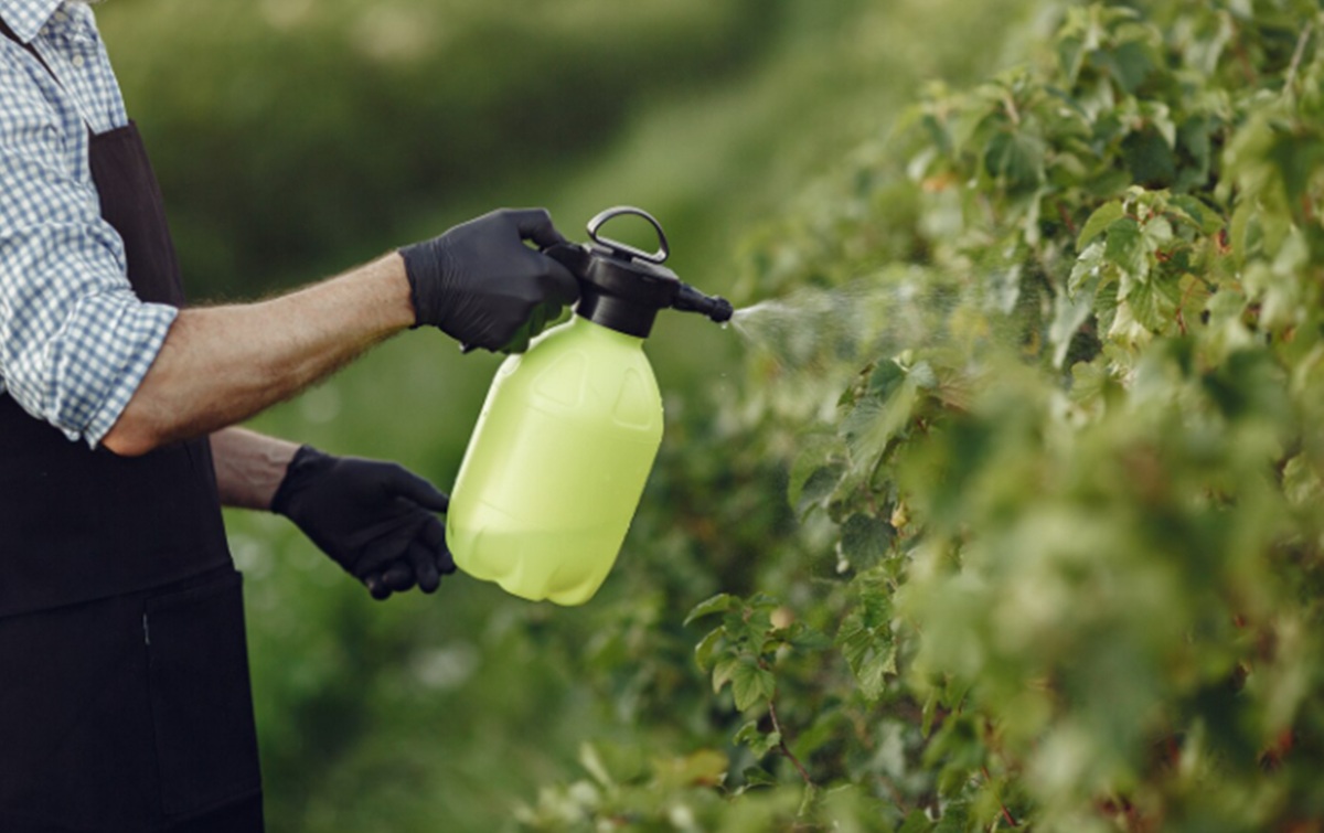 Chlorpyrifos Pesticide Exposure Increases Parkinson's Disease Risk by 2.5-fold
