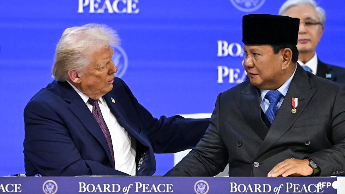 Prabowo criticises US-Israel military campaign against Iran as irrational and asymmetrical