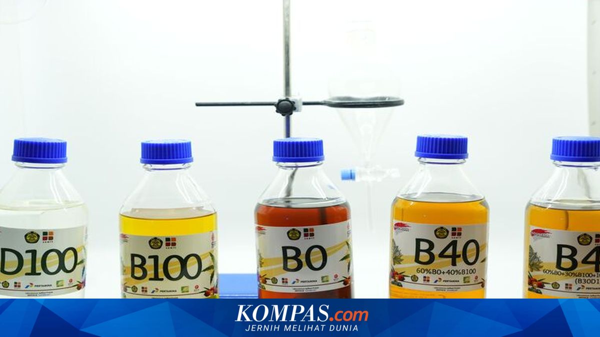 Surge in Global Oil Prices Becomes Momentum to Accelerate B50 Biodiesel Programme