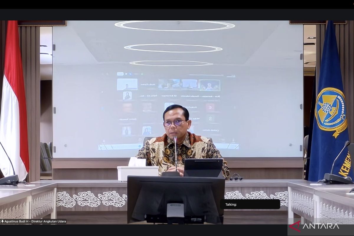 Ministry of Transportation: Expensive Flight Tickets Due to Indirect Flights