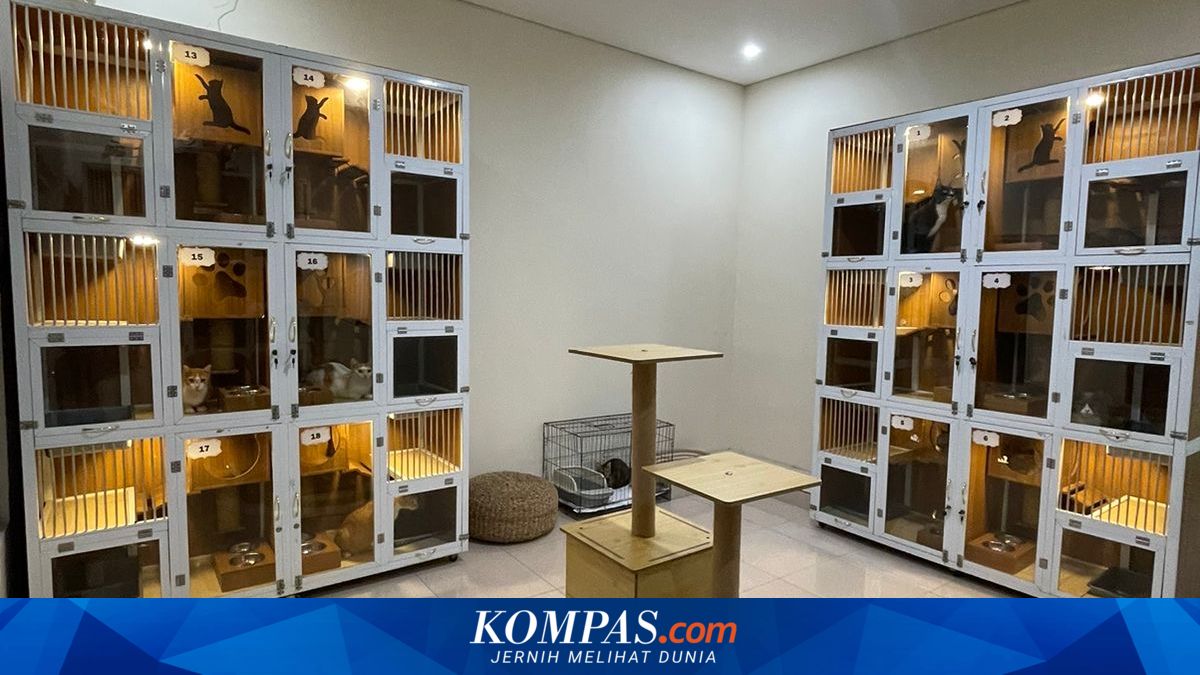 Cat Hotel in Bekasi Experiences Rush Ahead of Eid, with Bookings Received since January