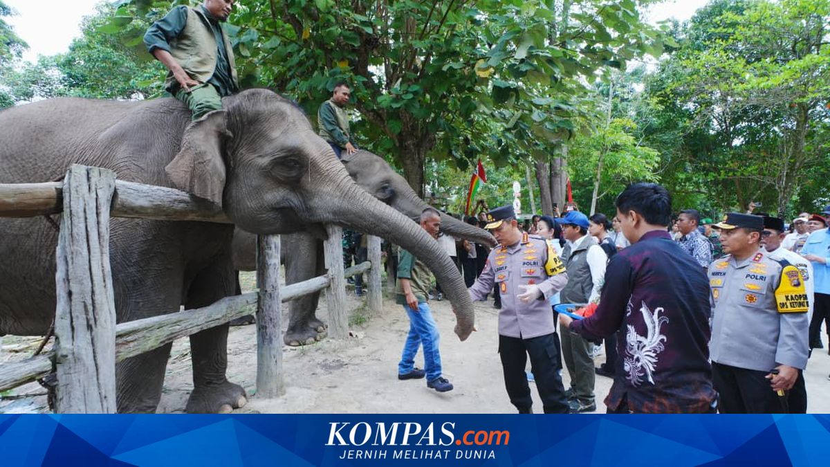 National Police Chief and Titiek Soeharto Inspect Tesso Nilo, Ensure Sumatran Elephant Conservation is Secure