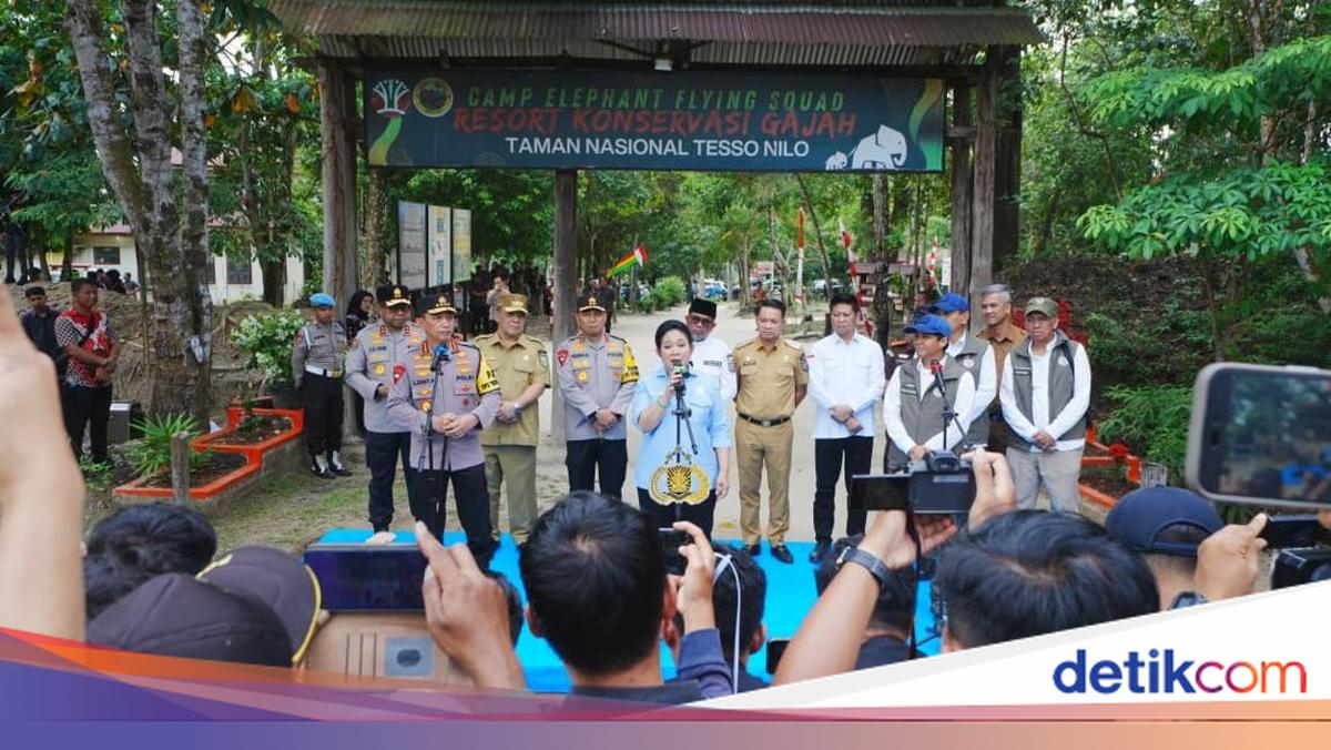 National Police Chief Supports President's Efforts to Rehabilitate Tesso Nilo National Park, Restore Elephant Population