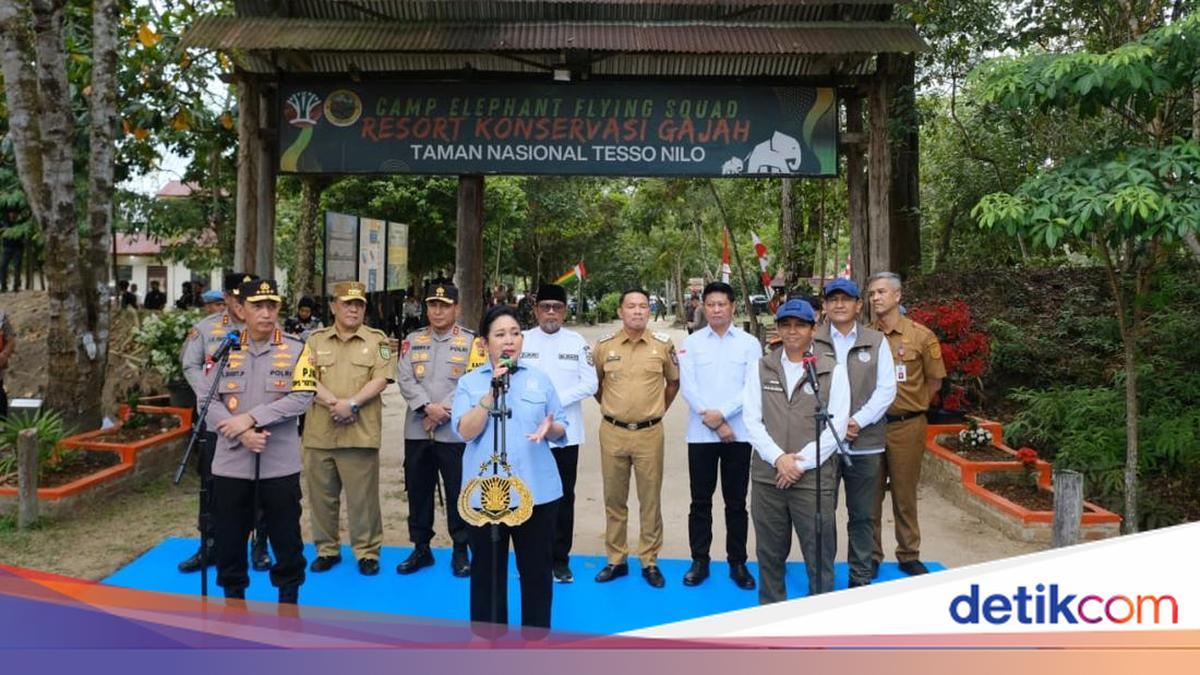 Titiek Soeharto: Tesso Nilo National Park Must Restore Its Function as Sumatran Elephant Sanctuary
