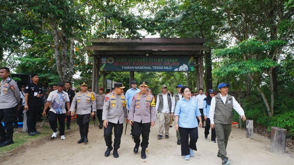 National Police Chief Inspects Tesso Nilo National Park with Titiek: Elephant Conservation Area Secure