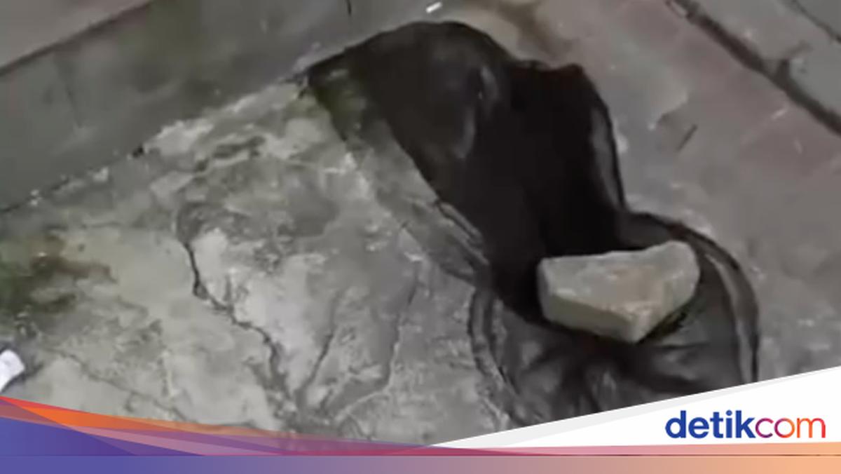 Viral: Man in Tangerang Assaulted After Protesting Cat Being Netted