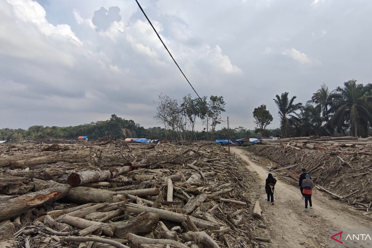 Flood survivors in Babo Village, Aceh shift to timber labour to rebuild livelihoods