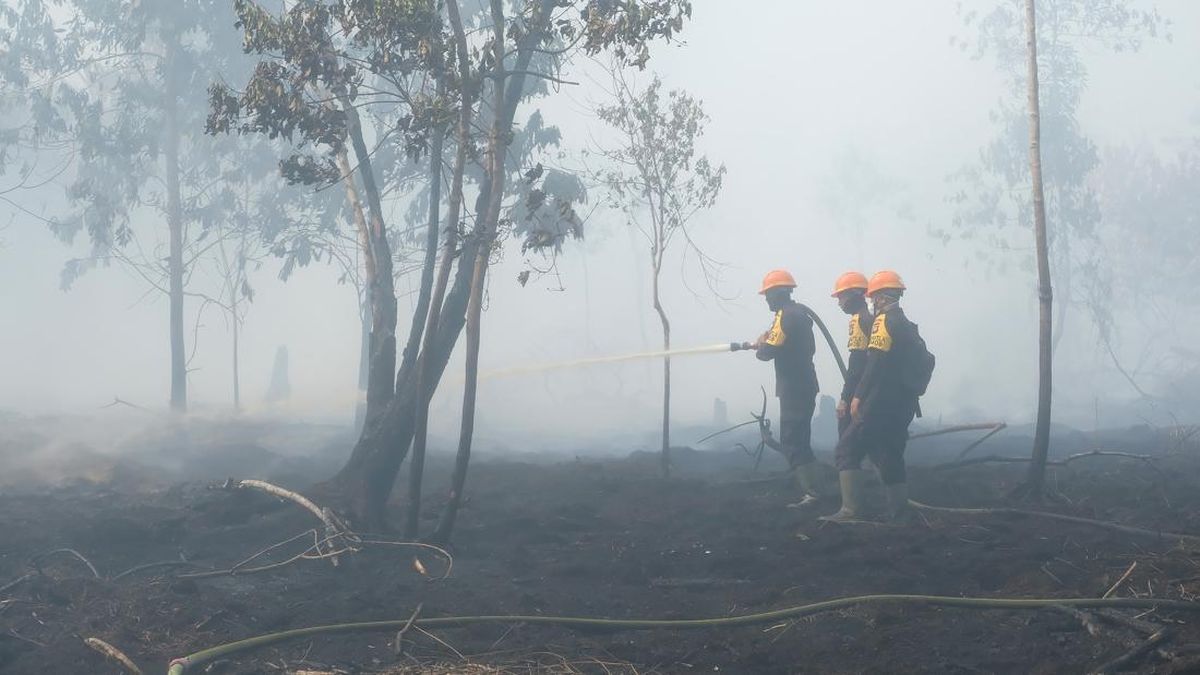 Land Fire in Merbau Area of Pelalawan, Riau Brought Under Control