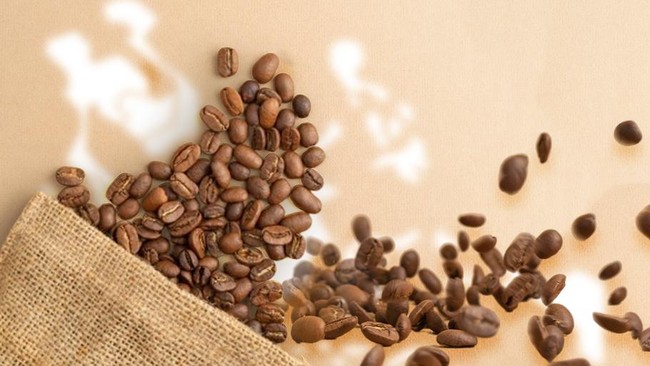 How the Islamic World Discovered Coffee and Conquered the World
