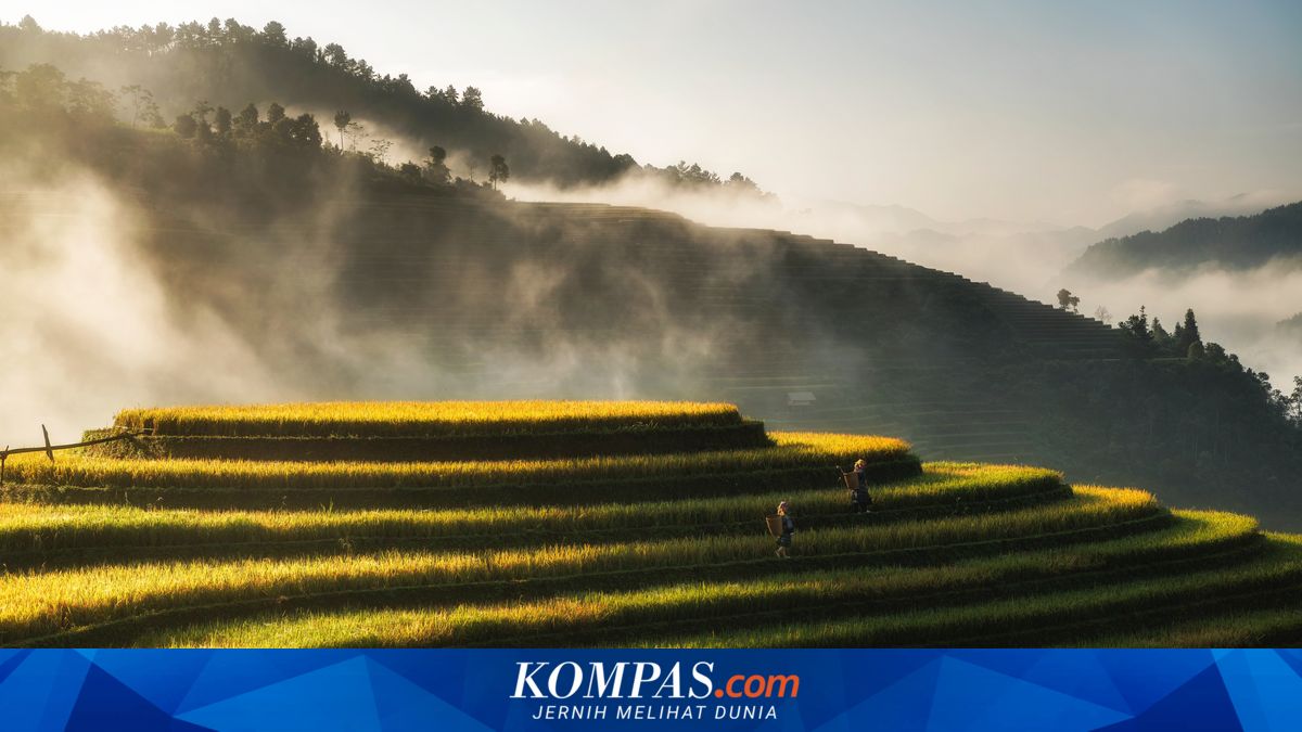 China Has the World's Largest Agricultural Land, Indonesia Lags Far Behind