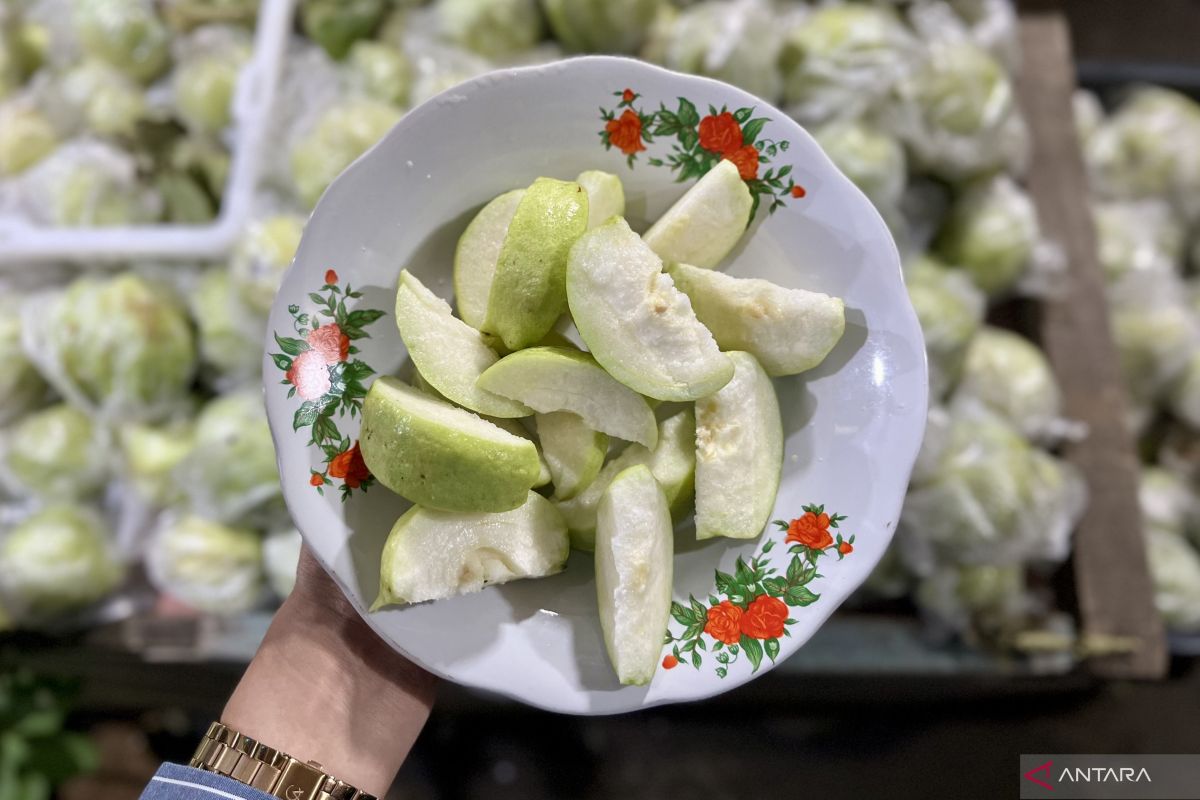 Crystal guava becomes popular choice for travellers on the South Coast route