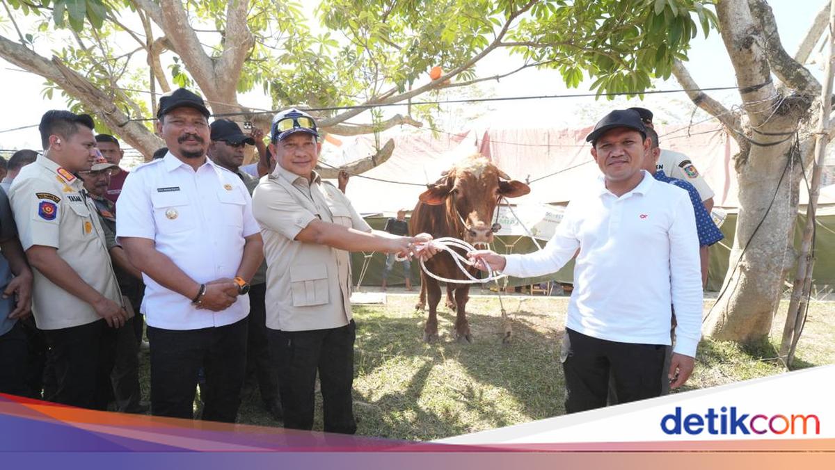 President Prabowo Fulfils Aceh Residents' Aspirations, Distributes Meugang Meat for Eid al-Fitr