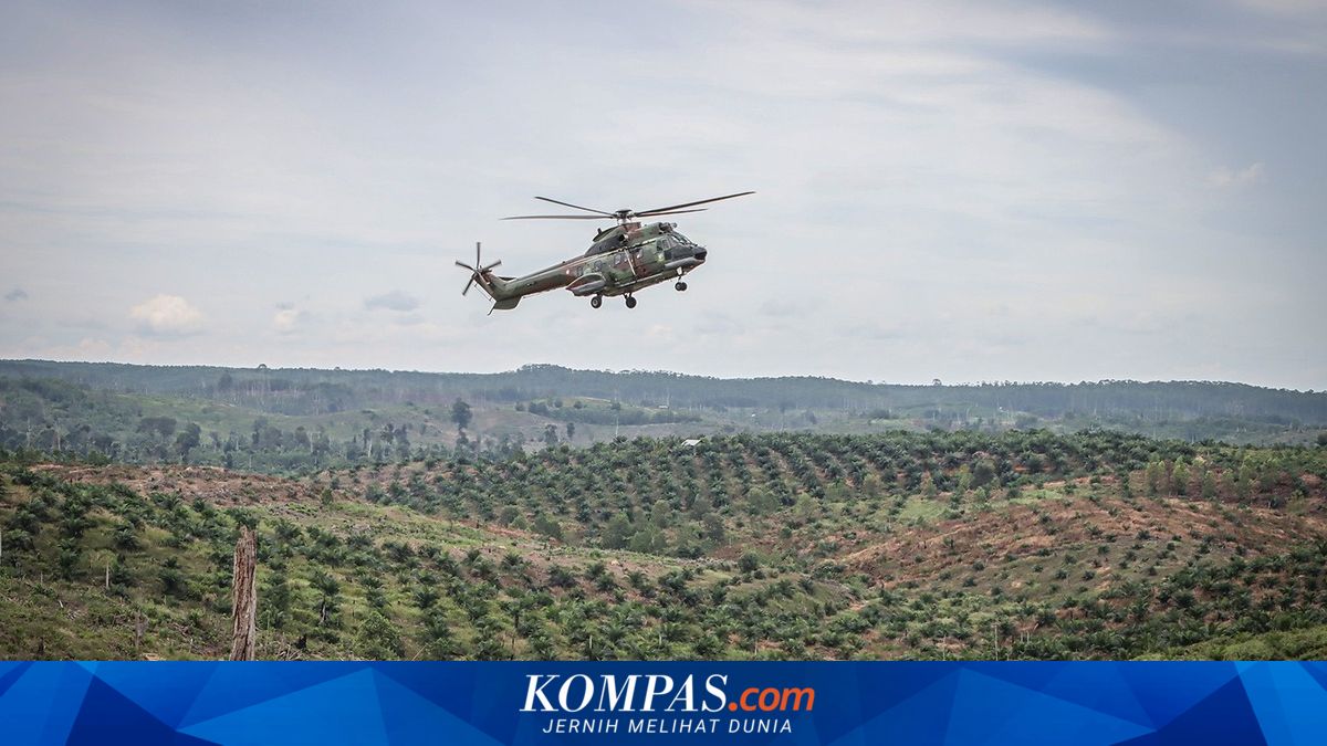 FAO Report: Indonesian Agricultural Land Increased by 10 Million Hectares in Two Years, Mostly Palm Oil