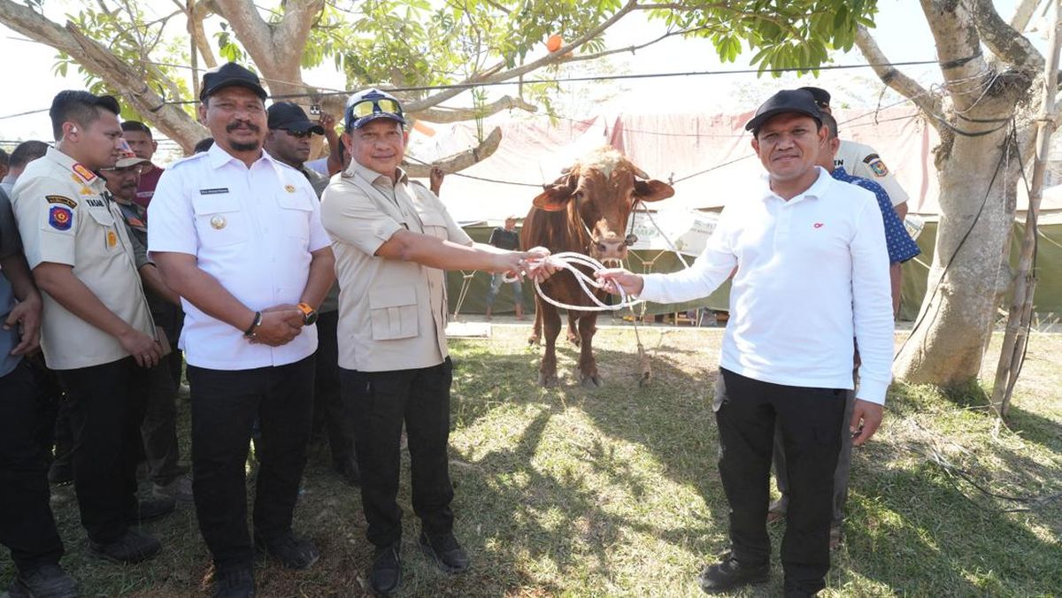 Welcoming Eid al-Fitr 2026, President Distributes Meugang Beef to Aceh