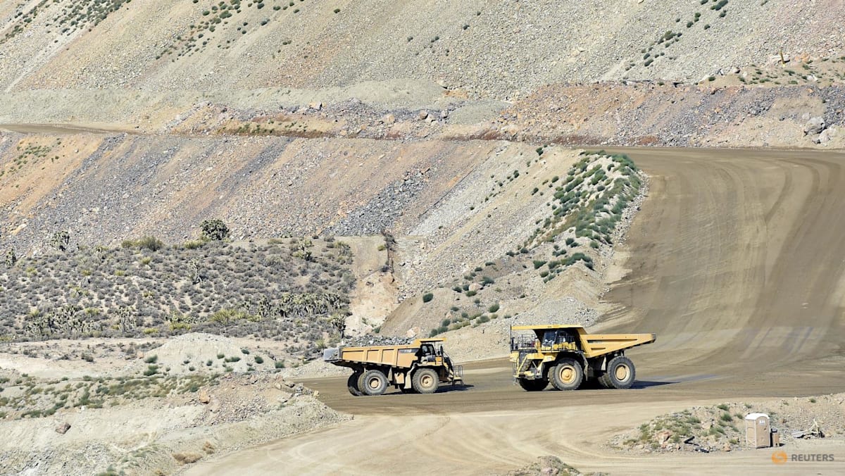 Japan, US to discuss joint rare earths development