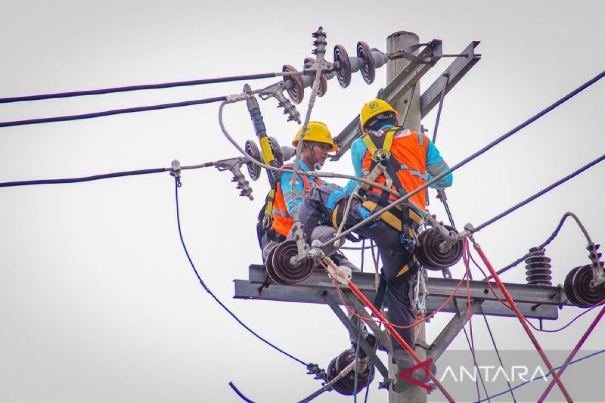 Industrial Policy and the Limits of State Capacity