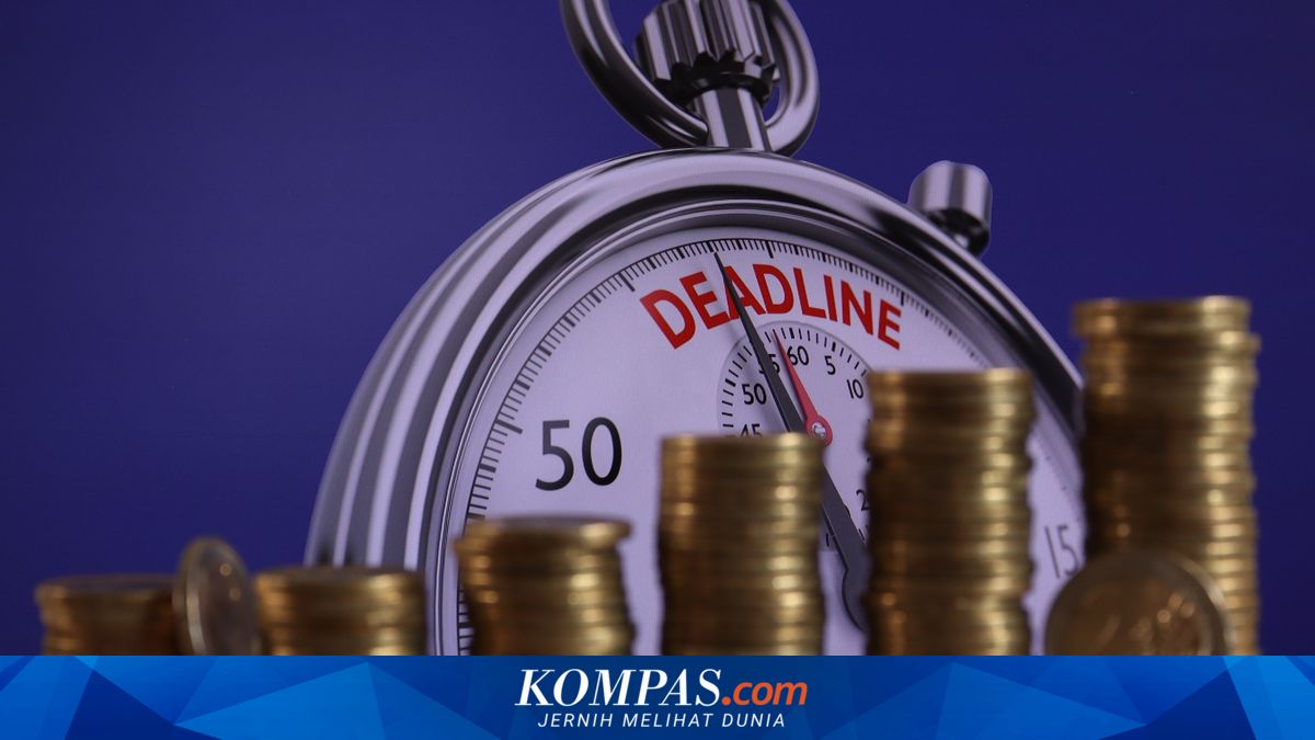 Economist Highlights Indonesia's Debt Burden, DSR Deemed More Important than GDP Ratio