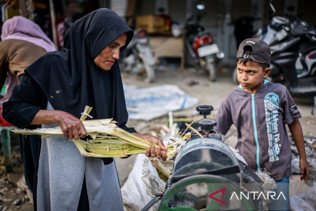 Healing the Wounds of Disaster with Sugarcane Juice