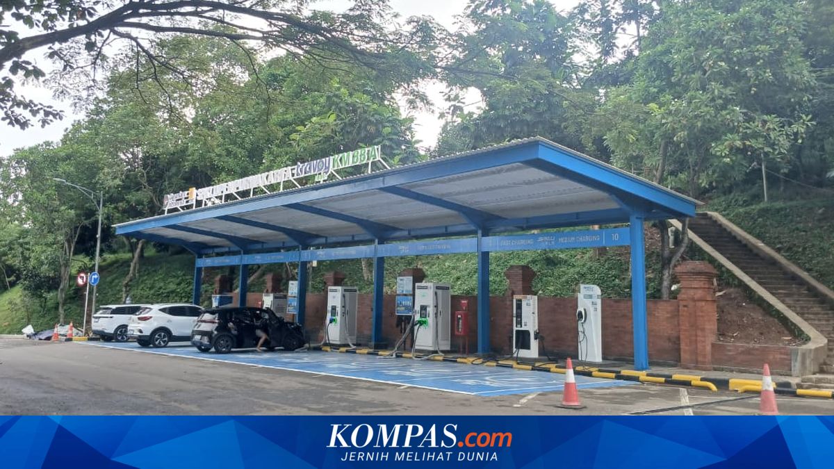 Many Holidaymakers Already Confident Using Electric Vehicles