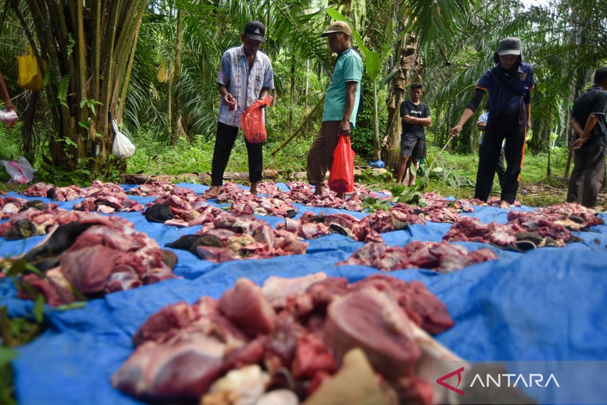 Mahantam: A Tradition Upheld Amid Disaster Recovery