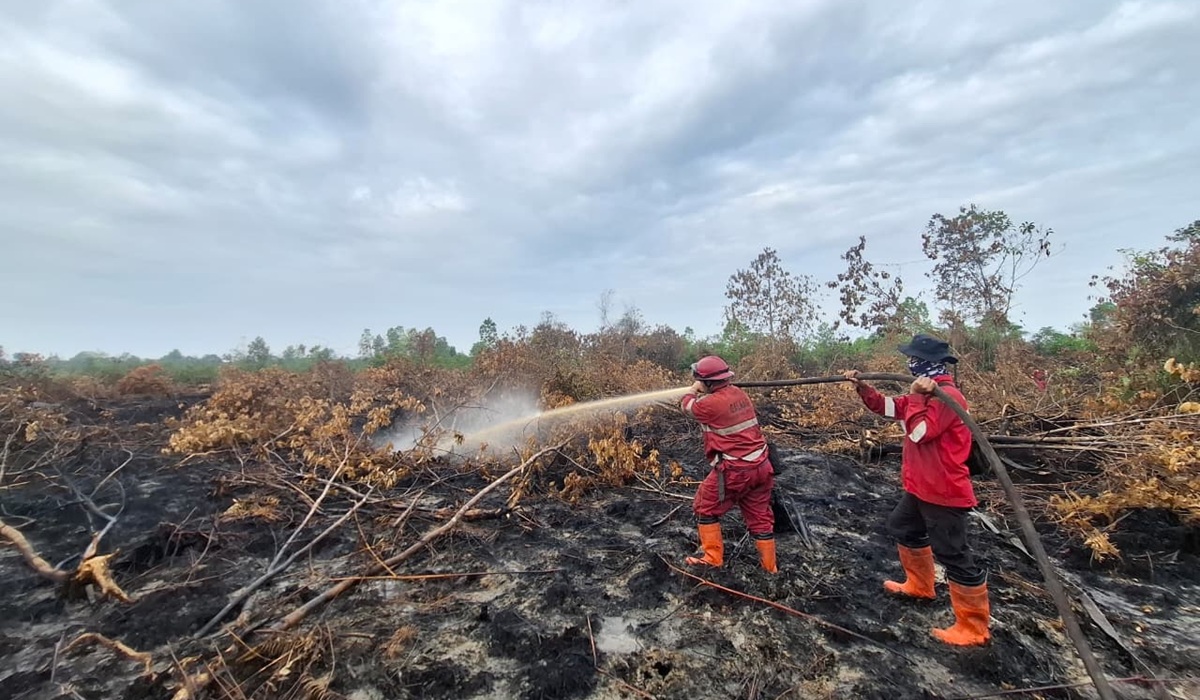 Pekanbaru BPBD Handles 49 Land and Forest Fire Cases in 2026, 29 Hectares of Land Destroyed by Fire