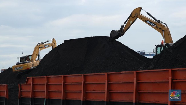 Coal Prices Reignite After Mr. Trump's Support