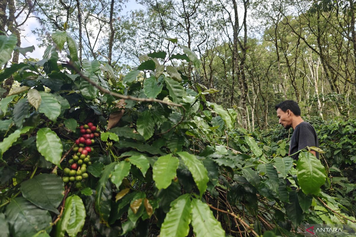 Agusen residents optimistic about swift restoration of agricultural land