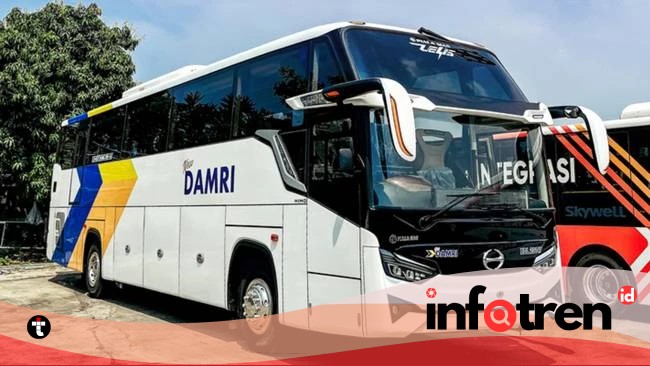 Golden Career Opportunities at Indonesia's Eastern Tip: DAMRI Opens Recruitment for Business Staff - Infotren.id