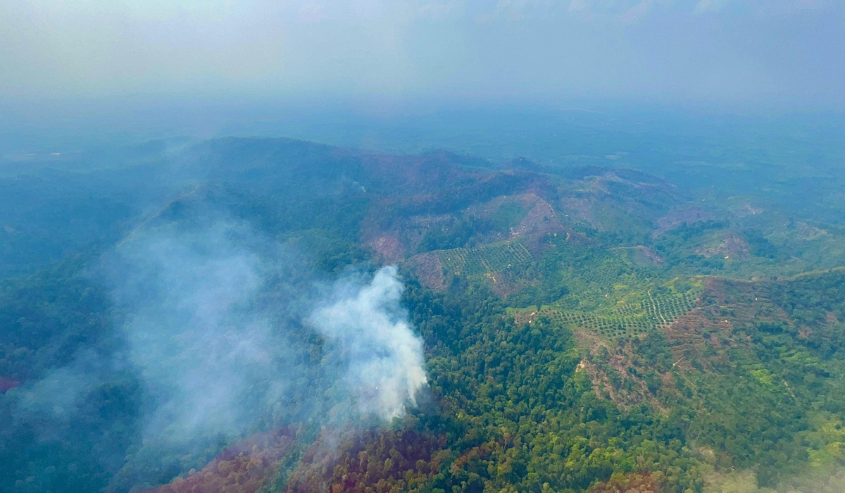 Beware of Forest and Land Fires in Sukabumi, 2,000 Square Metres of Land Burnt
