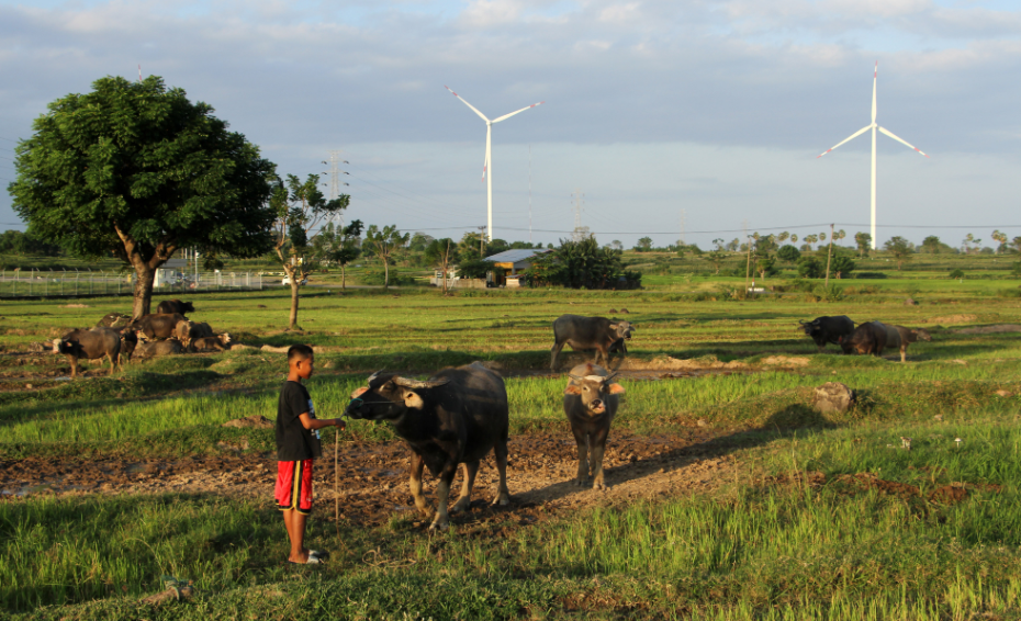 What is Andilan Kebo? Understanding the Betawi Lebaran Meat Pooling Tradition