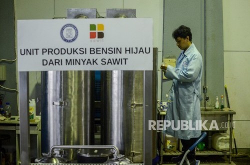 Indonesia Needs to Strengthen Diplomacy to Minimise EUDR Impact