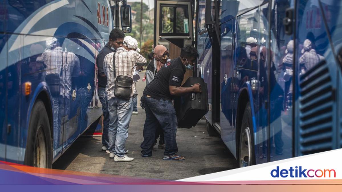 Ministry of Transportation Records 7.7 Million Eid Travellers Departing via Public Transport