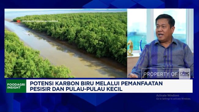 Video: Mangrove Rehabilitation Without State Budget, Ministry of Marine Affairs and Fisheries Invites Private Sector and SOEs