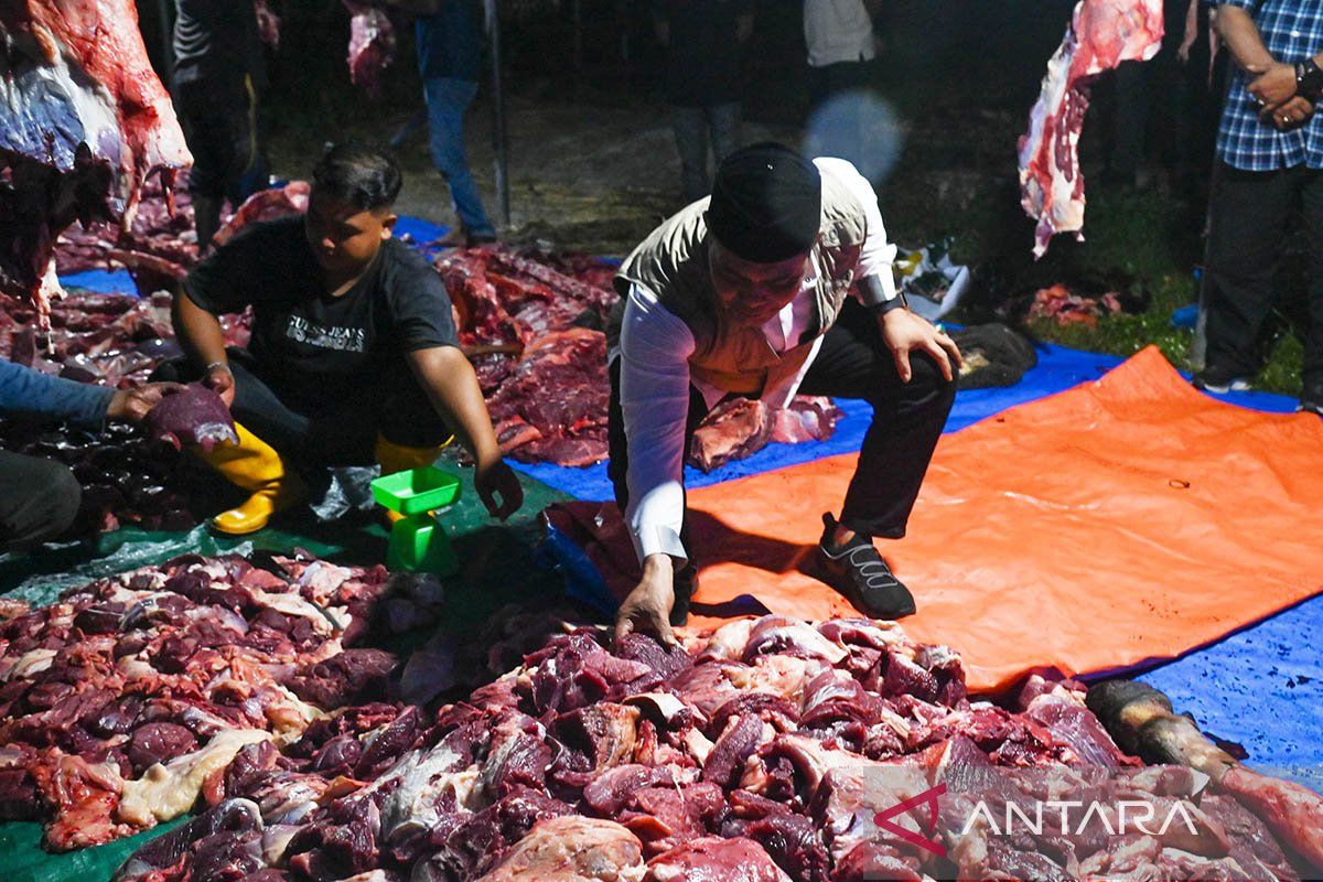 905 Households in Aceh Besar Receive Presidential "Meugang" Meat Assistance