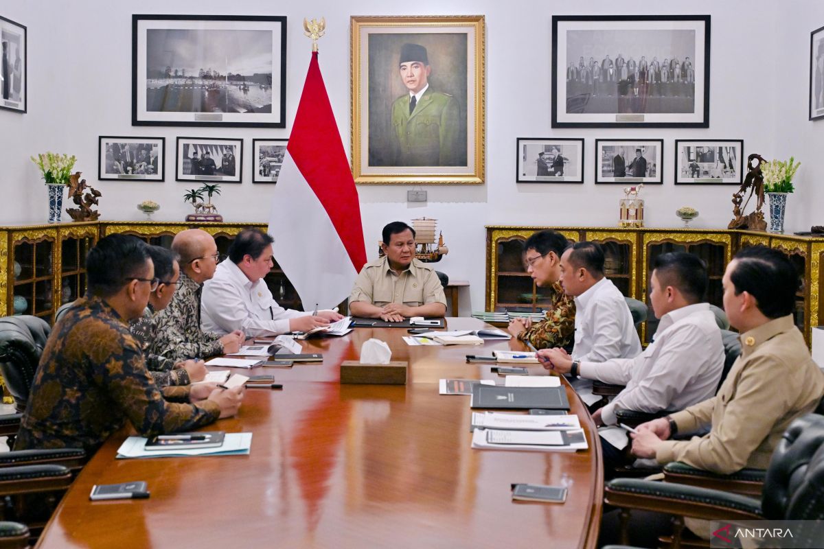 Indonesia plans energy-saving policies to ensure economic stability