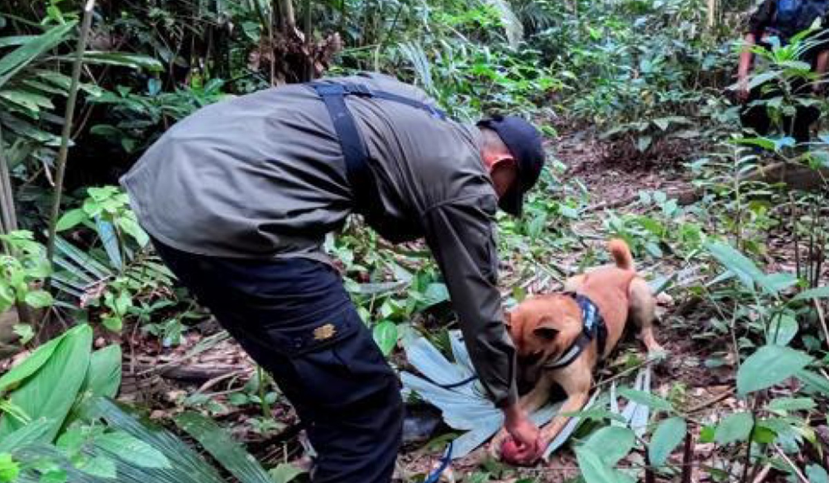 Strengthening Javan Rhino Protection: Indonesia's First Permanent K9 Anti-Poaching Unit Officially Operational