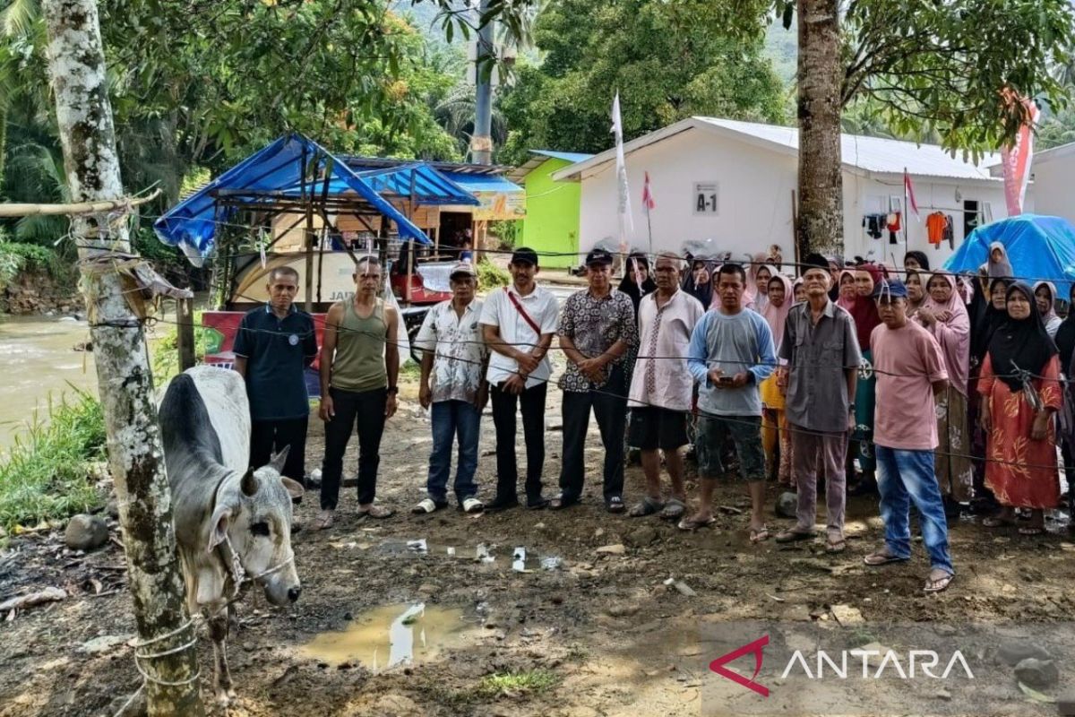 North Sumatra Governor provides aid of 10 cattle to disaster victims ahead of Eid