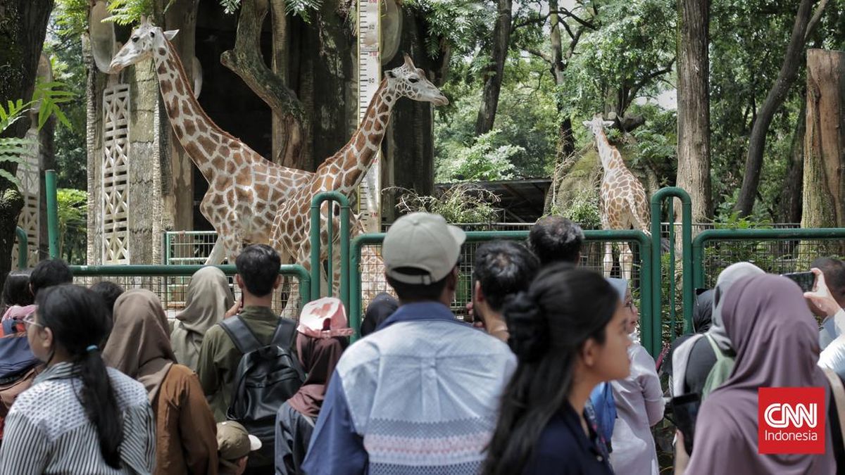 Ragunan Closes on Eid al-Fitr, Reopens Sunday 22 March