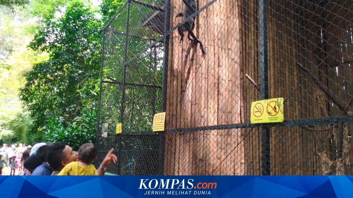 Permit Revoked, Bandung Zoo to Close During 2026 Eid Holiday