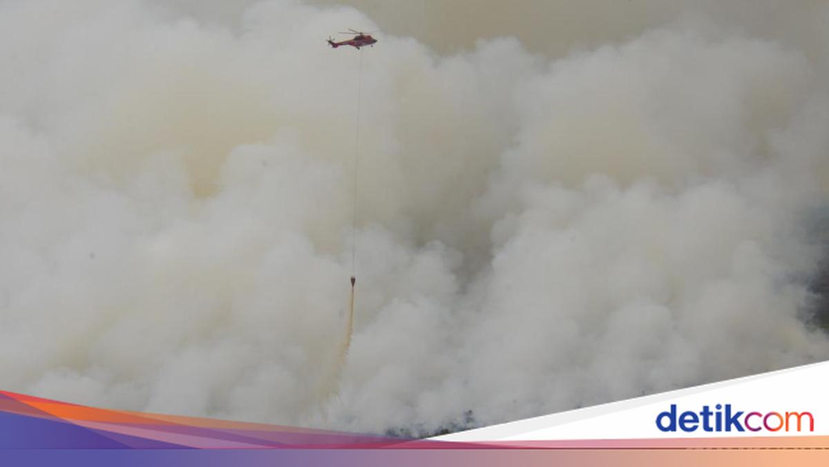 Prolonged Drought and Forest Fires: Report from the RI Operational Development Control Secretariat 1996-1998