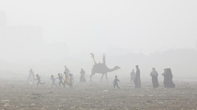 Climate Apocalypse Kills 832,000 People, Heatwaves Top Killer