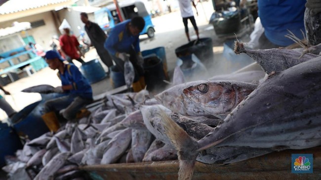Fishermen, Take Note! BRIN Delivers Good News for Indonesia's Seas During the Dry Season